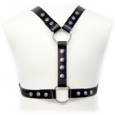Harness With Metal Spots Harness With Metal Spots