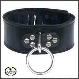 Hasp Lock Collar With Ring And Fleece Hasp Lock Collar With Ring And Fleece