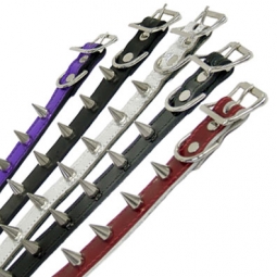 Collar With Small Cone Spikes Collar With Small Cone Spikes
