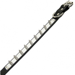 Black Collar With Metal Plate And Spikes Black Collar With Metal Plate And Spikes