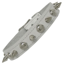 White Collar With Round Studs And Spikes White Collar With Round Studs And Spikes