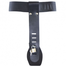 Chastity Belt With Locks Chastity Belt With Locks