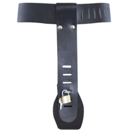 Chastity Belt With Locks Chastity Belt With Locks