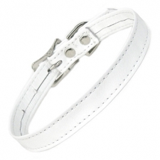 White Leather Plain Collar White Leather Plain Collar