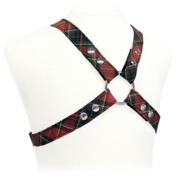 Plaid Garment And Leather Harness Plaid Garment And Leather Harness