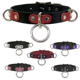 Collar With Halter And D Rings Collar With Halter And D Rings