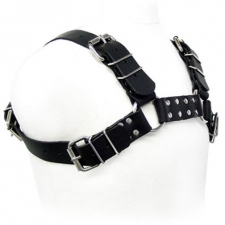Bulldog Harness Bulldog Harness