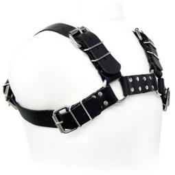 Bulldog Harness Bulldog Harness
