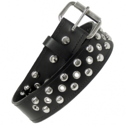 Eyelets And Round Stud Belt Eyelets And Round Stud Belt