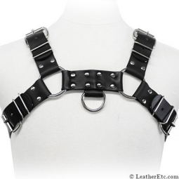 English Bulldog Harness For Men English Bulldog Harness For Men