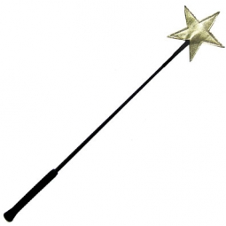 Riding Crop With Shiny Gold Leather Star Riding Crop With Shiny Gold Leather Star