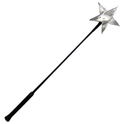 Riding Crop With Shiny Silver Leather Star Riding Crop With Shiny Silver Leather Star