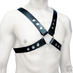 Black Leather Basic Harness Black Leather Basic Harness