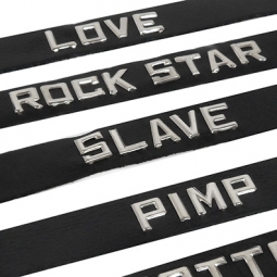 ROCK STAR ID Collar ROCK STAR ID Collar
