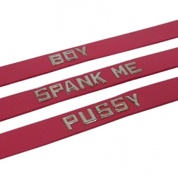 Collar With SPANK ME ID Collar With SPANK ME ID