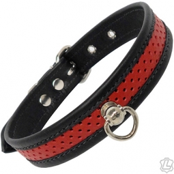 Red Perforated Leather Collar Red Perforated Leather Collar