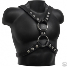 Garment Leather Scottish Harness Garment Leather Scottish Harness