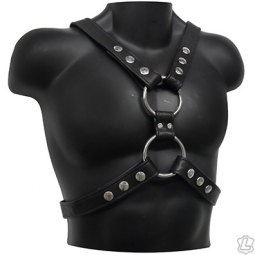 Garment Leather Scottish Harness Garment Leather Scottish Harness