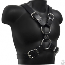 Scottish Harness With Buckles Scottish Harness With Buckles