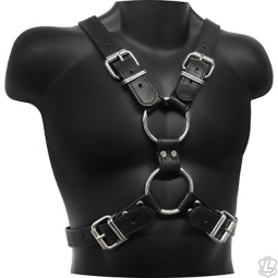 Scottish Harness With Buckles Scottish Harness With Buckles
