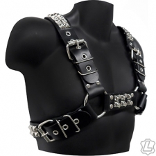 Bulldog Harness With Pyramid Studs Bulldog Harness With Pyramid Studs