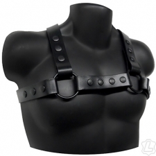 Latigo Leather Infinity Harness Latigo Leather Infinity Harness