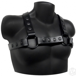 Latigo Leather Infinity Harness Latigo Leather Infinity Harness