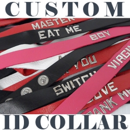 Custom ID Collar Custom ID Collar