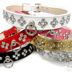 Charming Princess Rhinestone Collar Charming Princess Rhinestone Collar