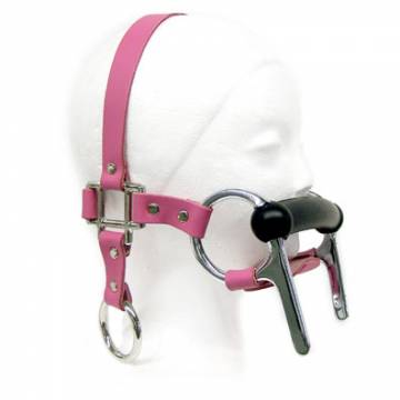 Pink Leather Bit Gag