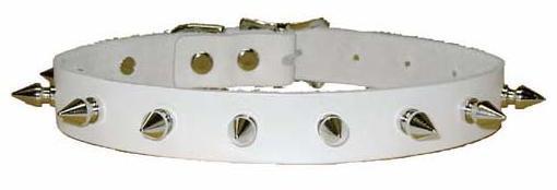 White Leather Collar With Small Spikes