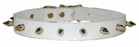 White Leather Collar With Small Spikes