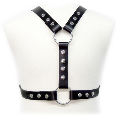 Harness With Metal Spots