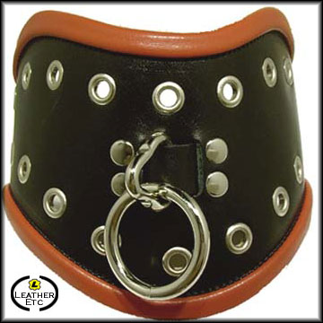 Black Leather Posture Collar With Eyelets & Red Piping