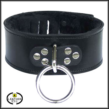 Fleece-Lined Simple Hasp Collar