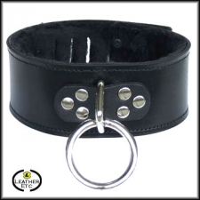 Hasp Lock Collar With Ring And Fleece Hasp Lock Collar With Ring And Fleece