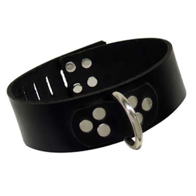 Simple Hasp Collar