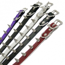 Collar With Small Cone Spikes Collar With Small Cone Spikes