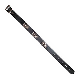 Three Ring Collar With Locking Buckle