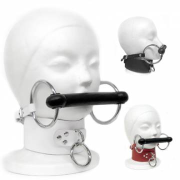Mouth Bit Gag With Collar