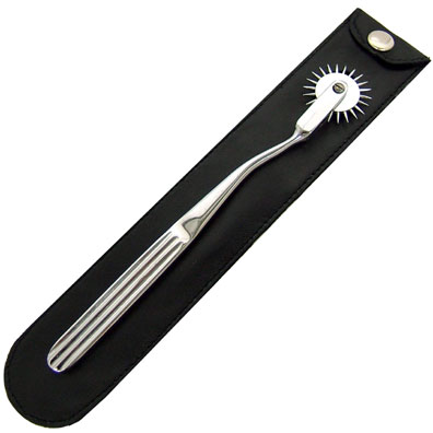 Pinwheel With Leather Sheath