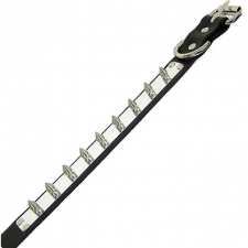Black Collar With Metal Plate And Spikes Black Collar With Metal Plate And Spikes