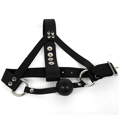 Head Harness With Ball Gag