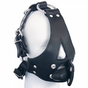 Head Harness With Leather Mouth Gag