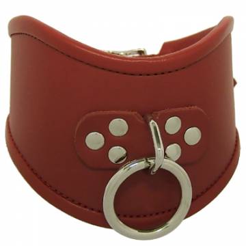 Leather Posture Collar