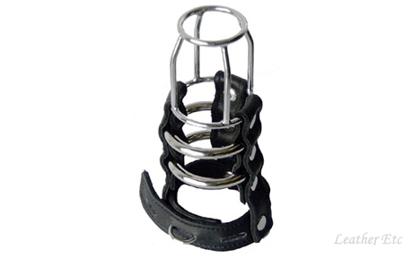 Two Ring Chastity Cage