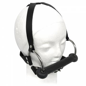 Head Harness With Mouth Bit Gag