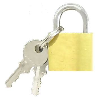 Small Dull Brass Colored Lock