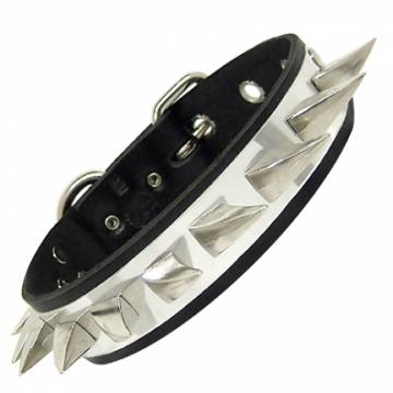 Leather Collar With Spikes And Metal Plate