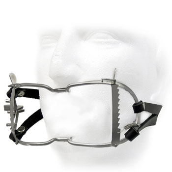 Whitehead Mouth Gag With Straps